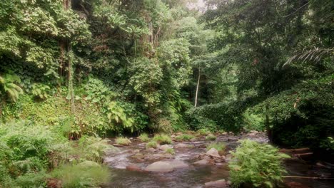 Aerial-pull-back-over-rocky-rapids-in-the-jungles-of-Bali,-sunny-day-in-Indonesia