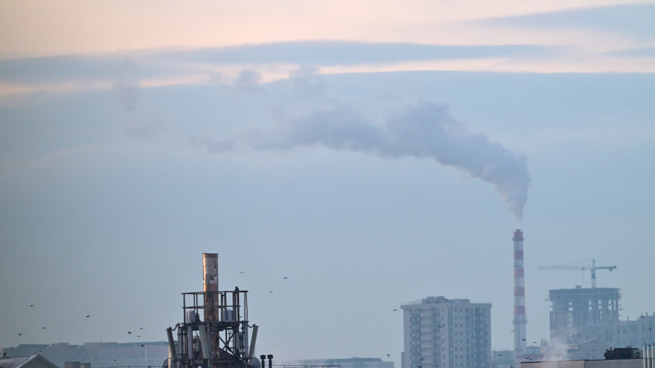 City rooftops on a cold winter day with multiple chimneys releasing white smoke into a pale sky