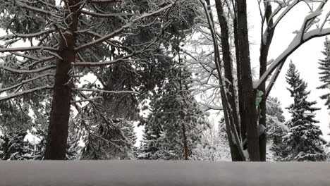 Starker-Schneefall-Im-Wald