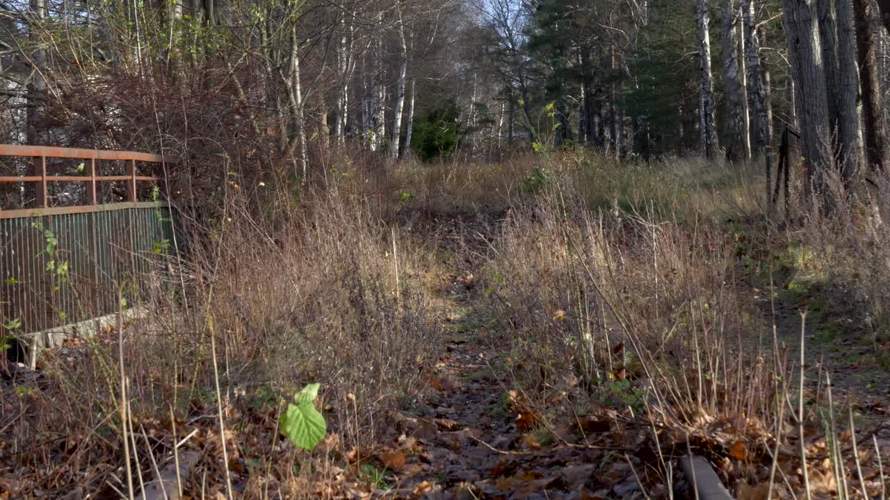 Forladt jernbane på landet dækket af tørre nedfaldne blade på en solrig efterårsmorgen.