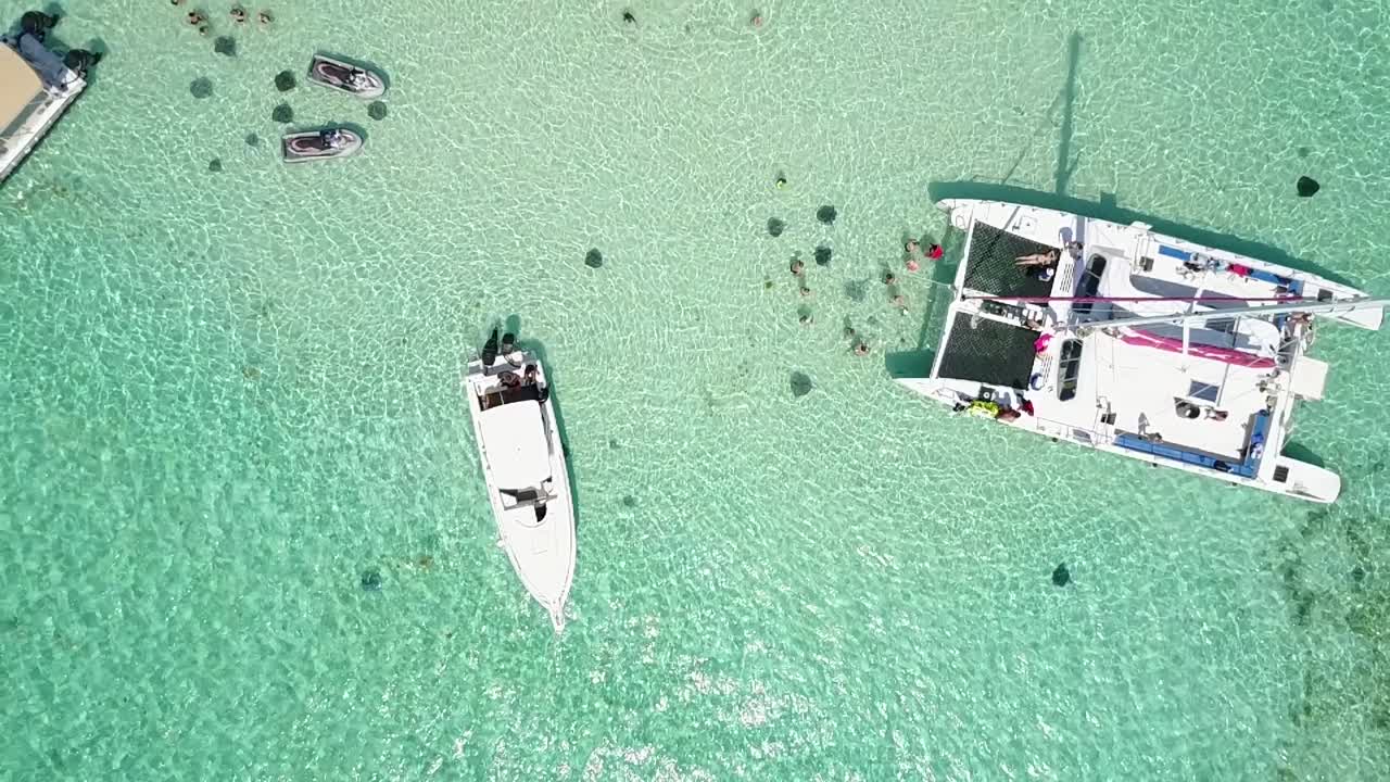 fotografía aérea de rayas nadando en stingray city sandbar, gran caimán | islas caimán
