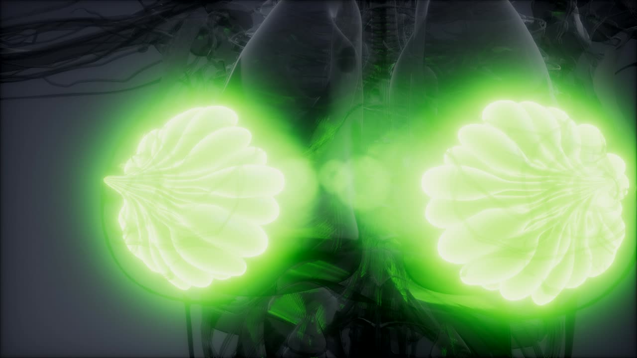 ilustración médicamente precisa de las glándulas mamarias de una mujer obesa