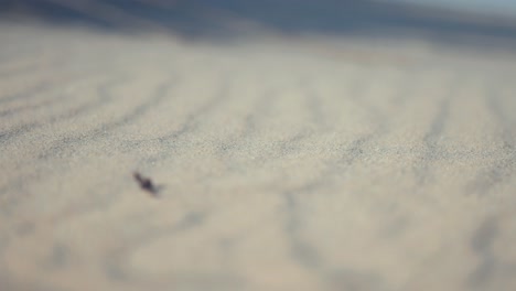 The-wavy-pattern-on-the-sand