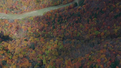 Vista-Aérea-De-árboles-Otoñales-En-El-Bosque-Durante-El-Otoño-En-Zao-Onsen,-Ciudad-De-Yamagata,-Japón---Toma-De-Arriba-Hacia-Abajo