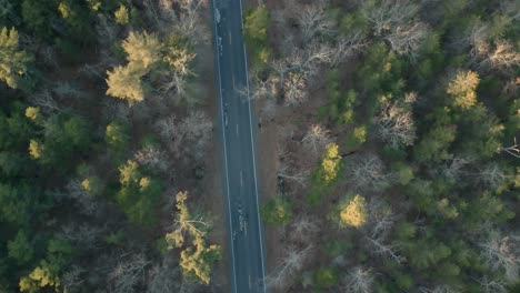 Conducción-De-Automóviles-En-La-Carretera-Entre-El-Bosque-Estatal-De-Wharton-Cerca-Del-Lago-Atsion-En-Pine-Barrens-De-Nueva-Jersey-Al-Atardecer