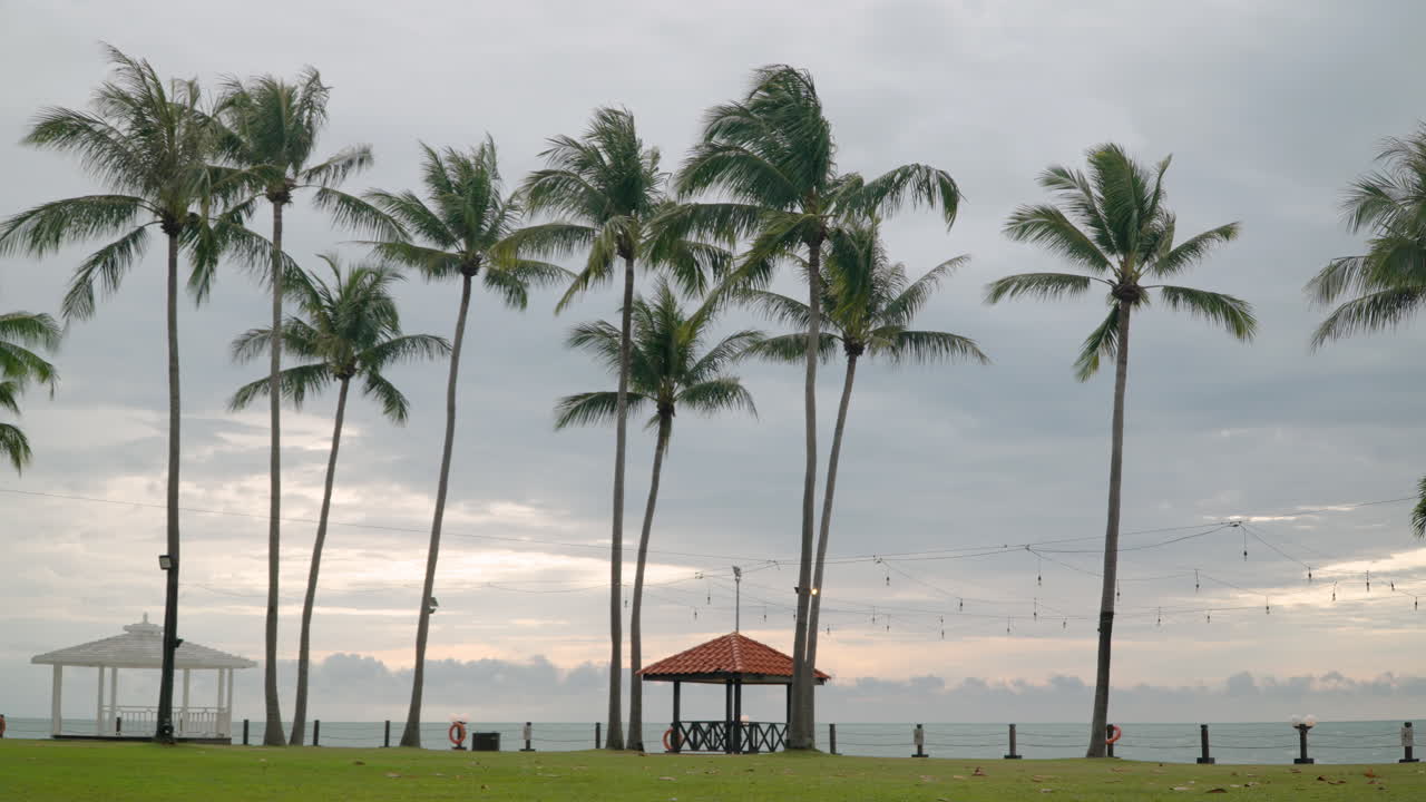 playa de tanjung aru: altas palmeras de coco y pabellones de verano junto al mar al atardecer con un espectacular horizonte en el resort shangri-la, kota kinabalu