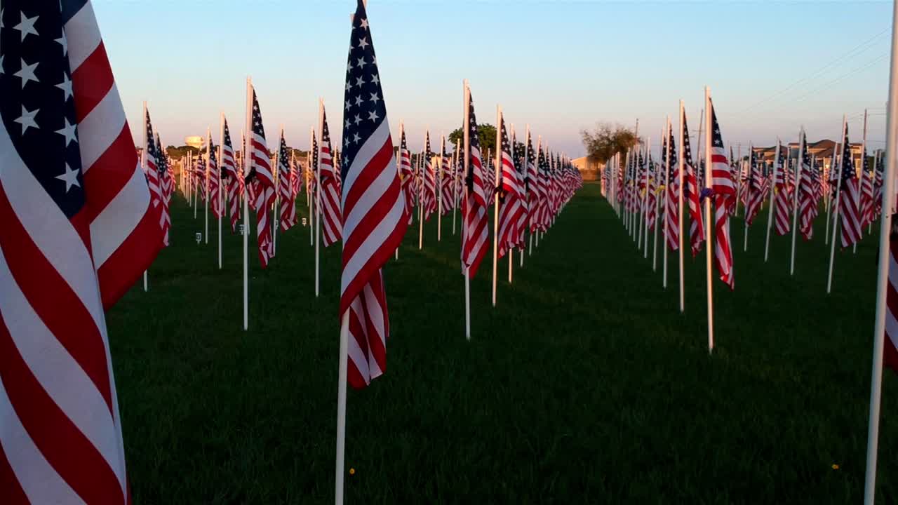 텍사스의 들판에 깃발
