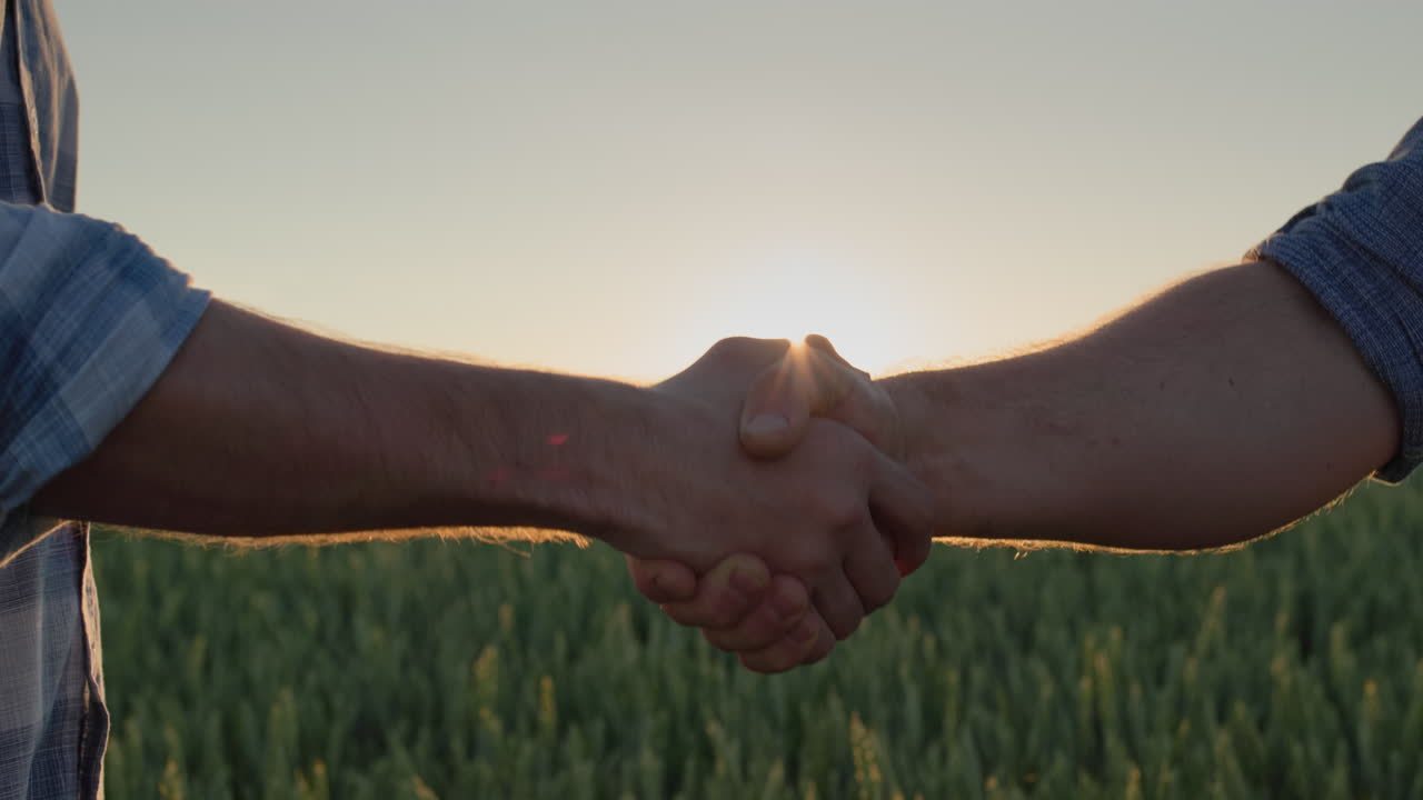 Handshake of two male hands of farmers against the background of a wheat field where the sun sets
