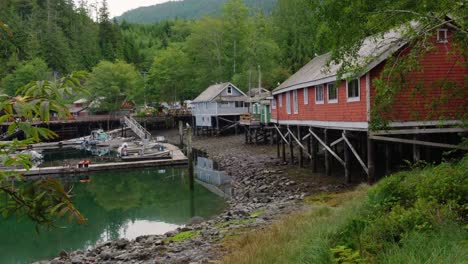 telegraph cove historic buildings and accomodation on pilings at low tide, touristic and historic place in the north of vancouver island, british columbia, canada