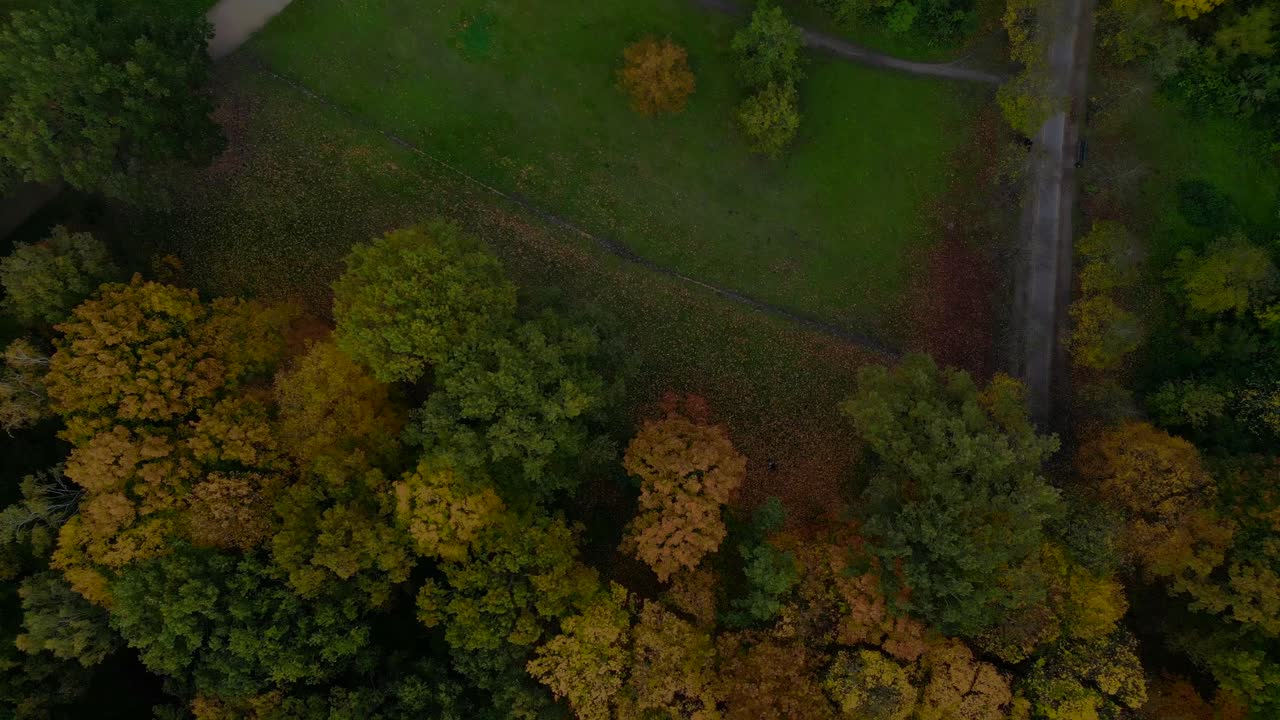 Aerial view discovering the vast Tiergarten park and Berlin cityscape during autumn. Smooth aerial view flight vertical bird's eye view drone