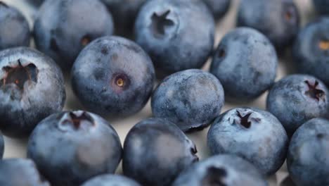 close-up of fresh blueberries