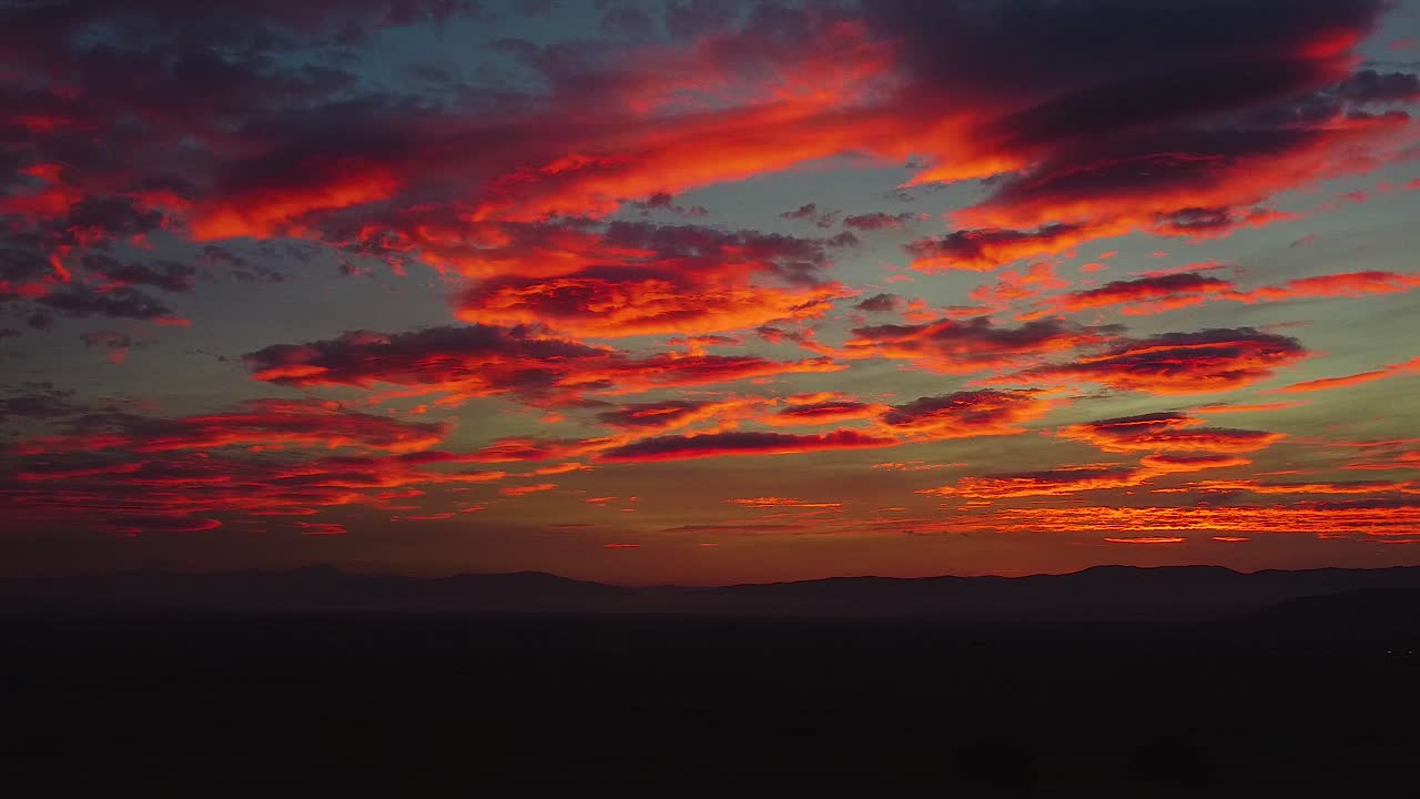 silueta de un árbol en un colorido disparo de drone al atardecer