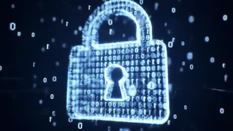exploring the evolution of digital security: from encrypted protection to expansive data access in a networked world of information technology