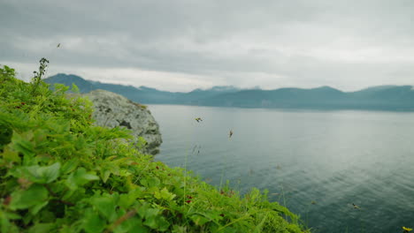 lake view with rocky cliff and lush vegetation