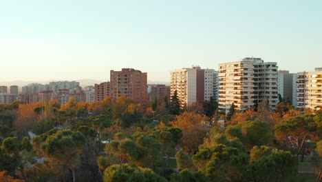 Aufsteigende-Aufnahmen-Von-Bäumen-Im-Park-Einer-Wohnsiedlung.-Mehrfamilienhäuser-Im-Wohngebiet-Der-Stadt.-Herbstfarbenes-Laub-Auf-Bäumen.