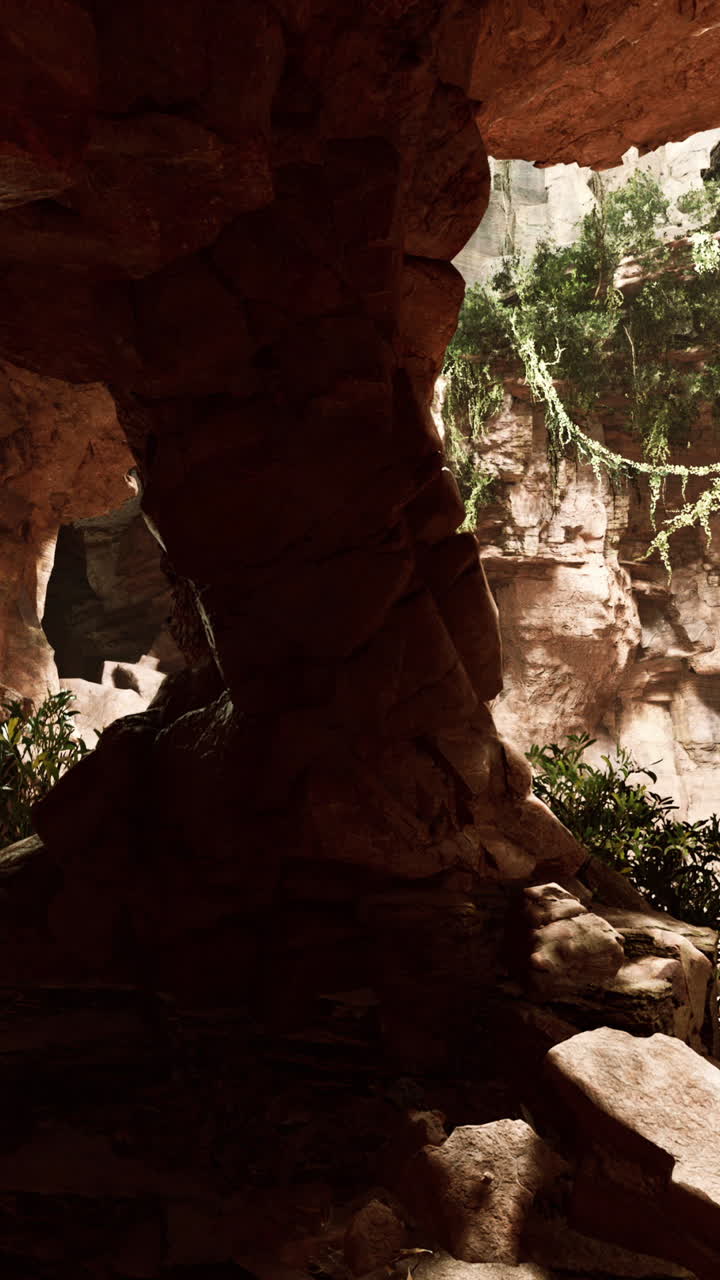 una entrada de cueva en una selva tropical