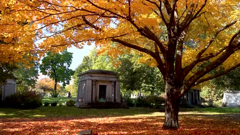 Gräber-Auf-Einem-Friedhof-Unter-Gelben-Herbstblättern-4k