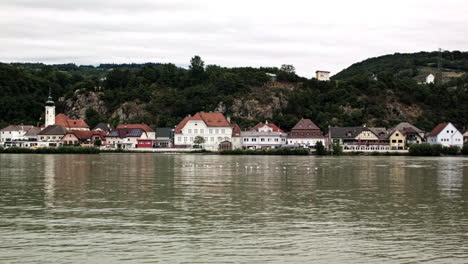 birds over the danube river in german port city