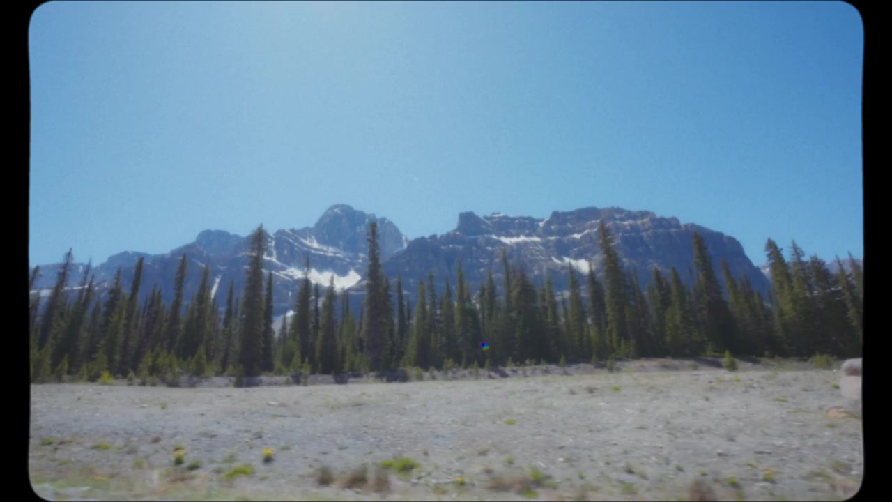 Drive by forest and snowy peaks