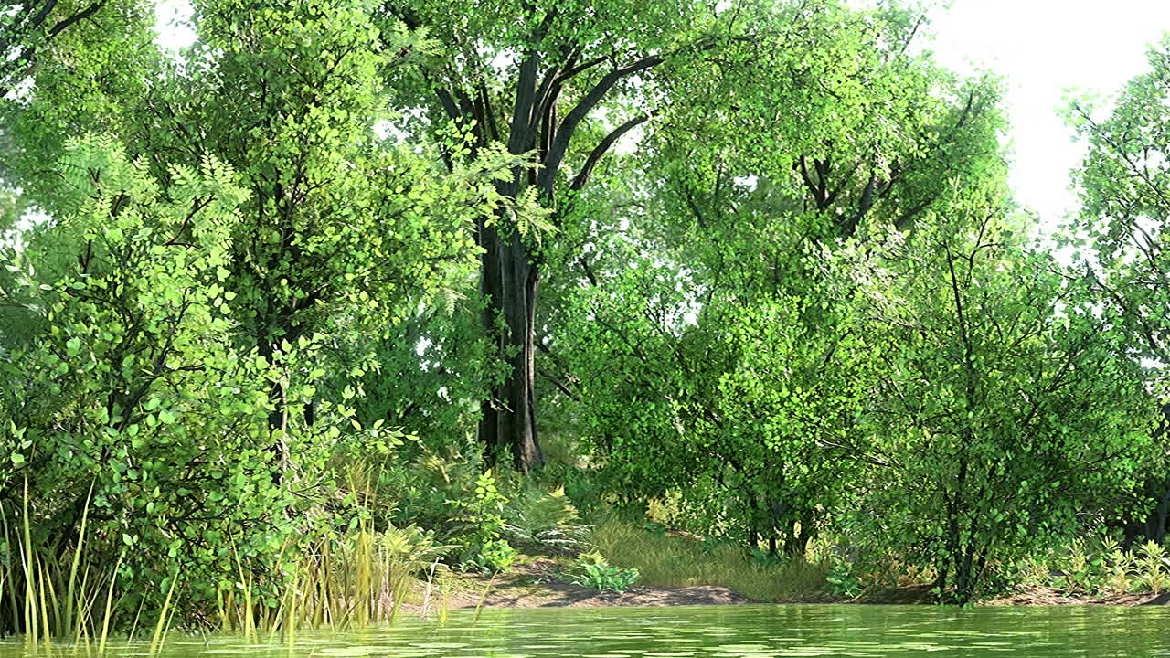 ⁇ 빛 아래 습지가 있는 도시 공원의 초록색 잔디 ⁇