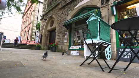 pigeon walking near a street vendor stall