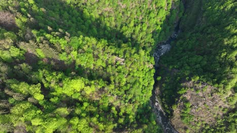 Narrow-creek-running-through-lush-green-Italian-alp-valley