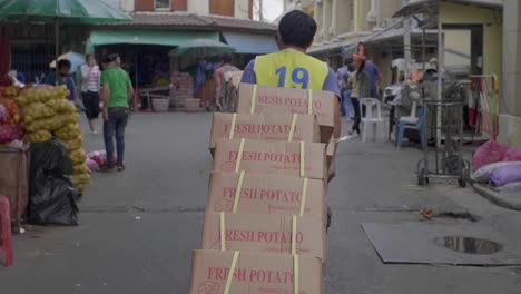 man transporting fresh potatoes