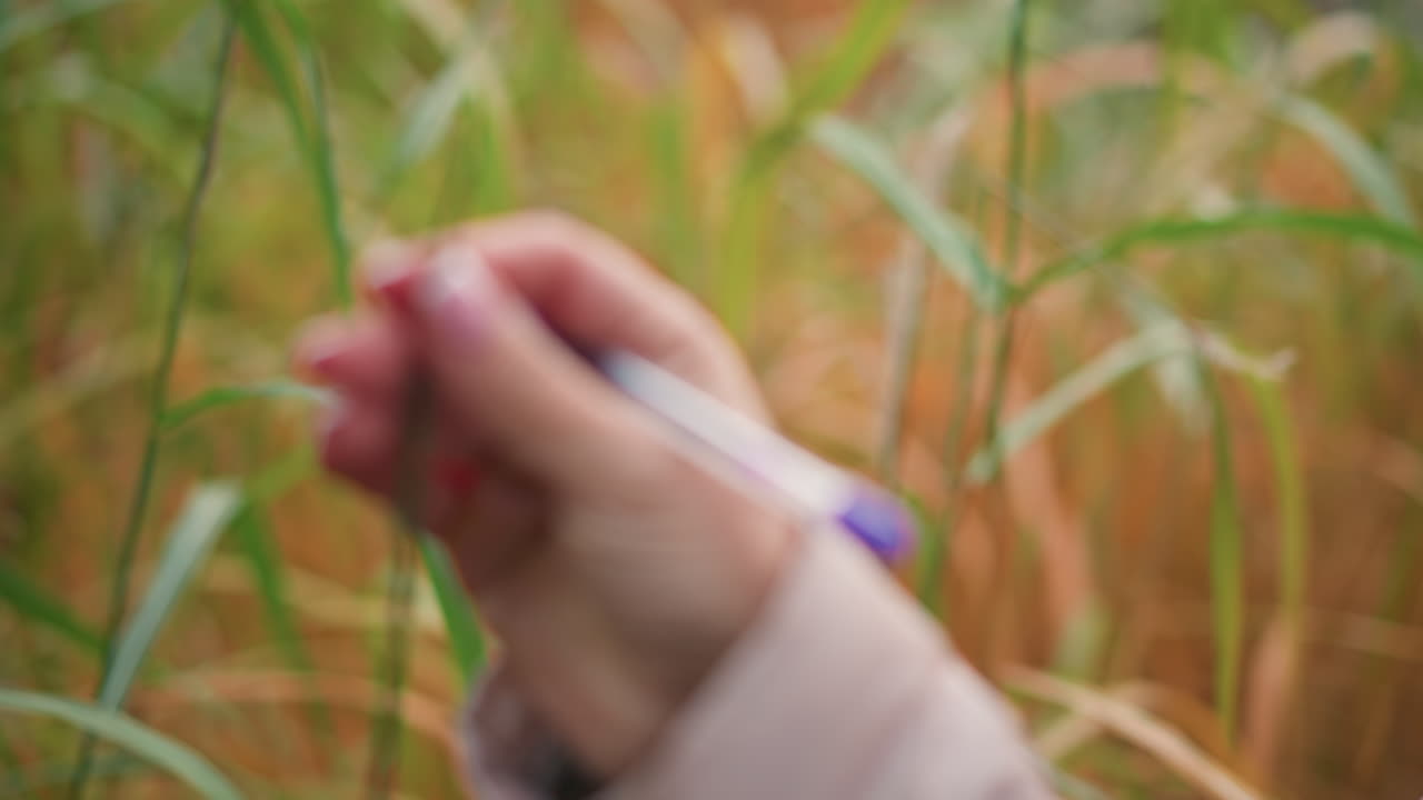 closeup of plant scientist in beige coat studying tall autumn grass, examining blades with focused expression in natural outdoor setting, conducting field research