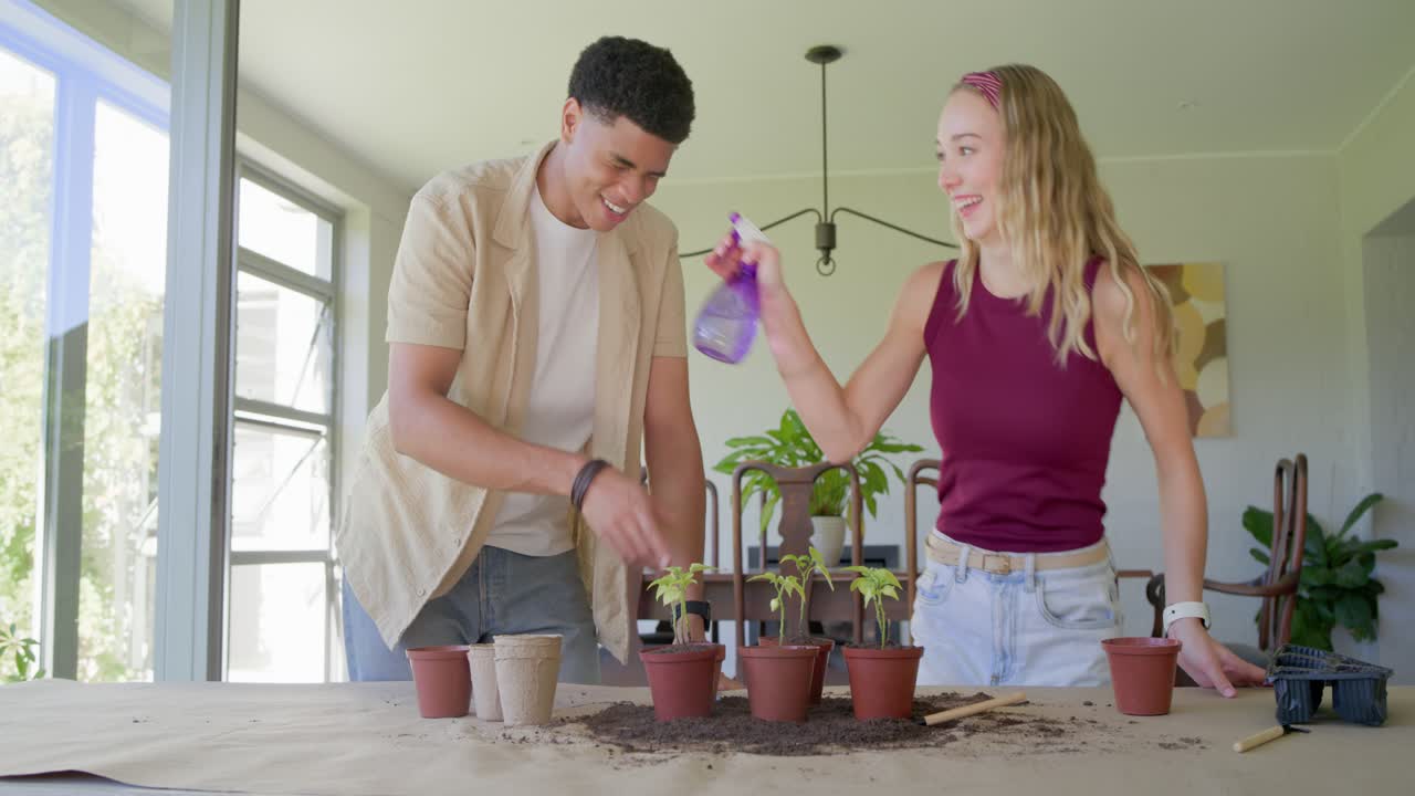 Casal diverso replantando mudas à mesa após a montagem, mulher borrifando spray roxo e abraçando.