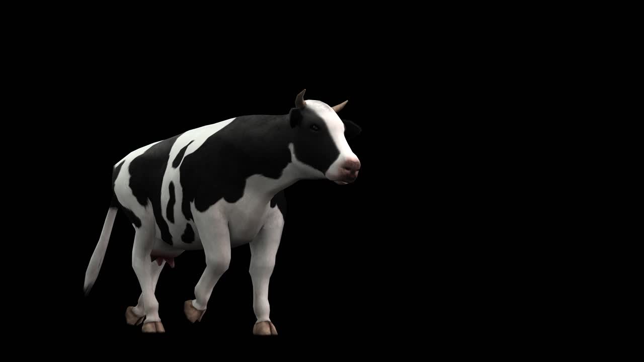 una vaca caminando y pasando sobre fondo negro con canal alfa incluido al final del video, animación 3d, vista en perspectiva, animales animados, animación de bucle sin costuras