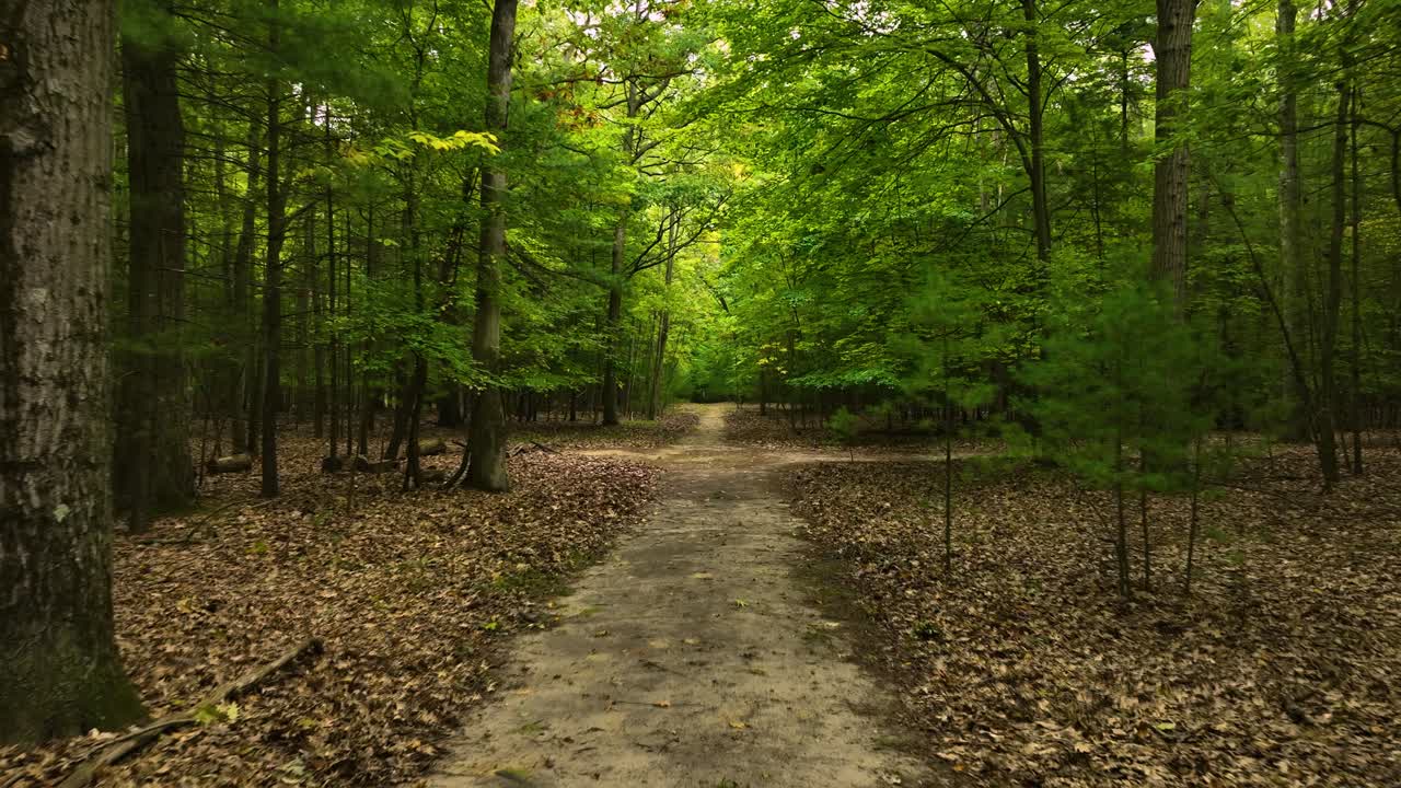 Point of View shot of walking slowly through the woods