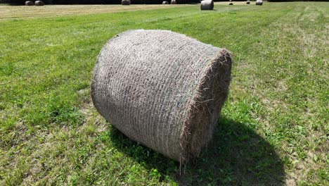 Gerollte-Heuballen,-Die-Im-Sommer-Auf-Sonnenbeschienenen-Feldern-Verstreut-Sind