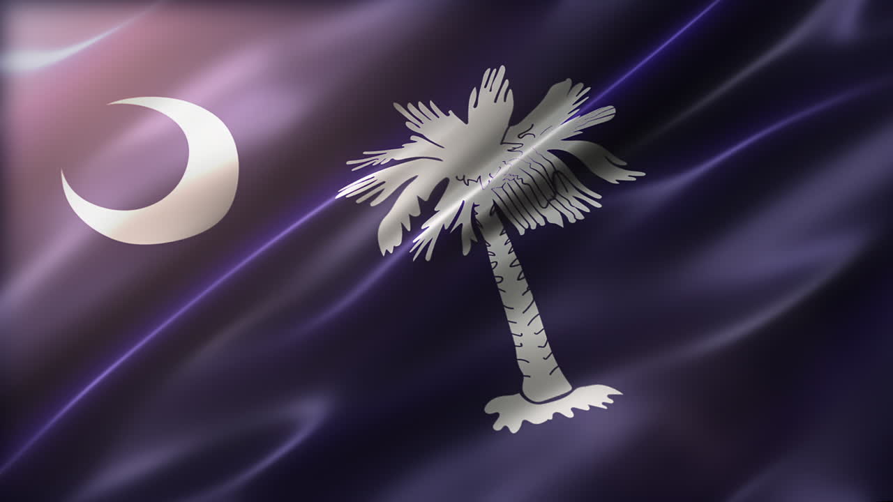 사우스 캐롤라이나의 발, 포 뷰, 높은 각도, 반이는, 우아한 실키 텍스처, 바람에 흔들리는, 영화와 같은 외관, 현실적인 4k cg 애니메이션, 느린 동작 플래터링, 원활한 루프 가능