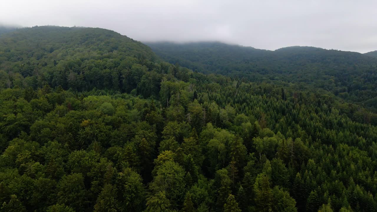 Aerial view over mountains and forest, thick fog in the background, in the Carpathian Mountains, Ukraine - reverse, drone shot