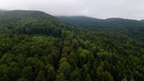 aerial view over mountains and forest, thick fog in the background, in the carpathian mountains, ukraine - reverse, drone shot