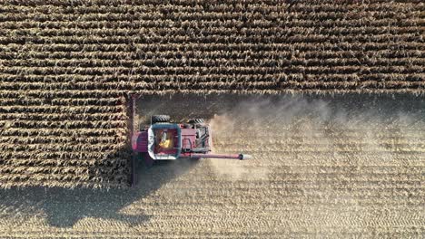 corn harvesting in progress from above