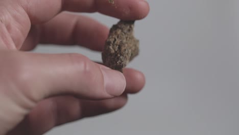 a cannabis bud being held and touched in a close up.