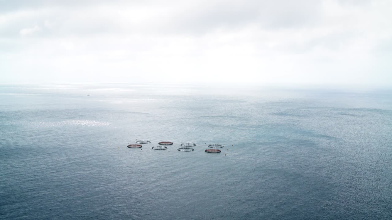 평온한 파도와 살몬 물고기 산업 농장 서클 울타리와 함께 대서양 풍경에 대한 공중 광각 전망. 물 표면 위에 물고기 양식 또는 생선 양식 개념 4k 영상.
