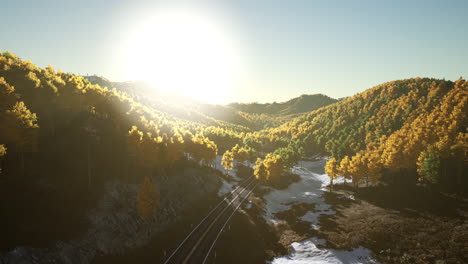 hermoso camino panorámico a través del bosque en otoño