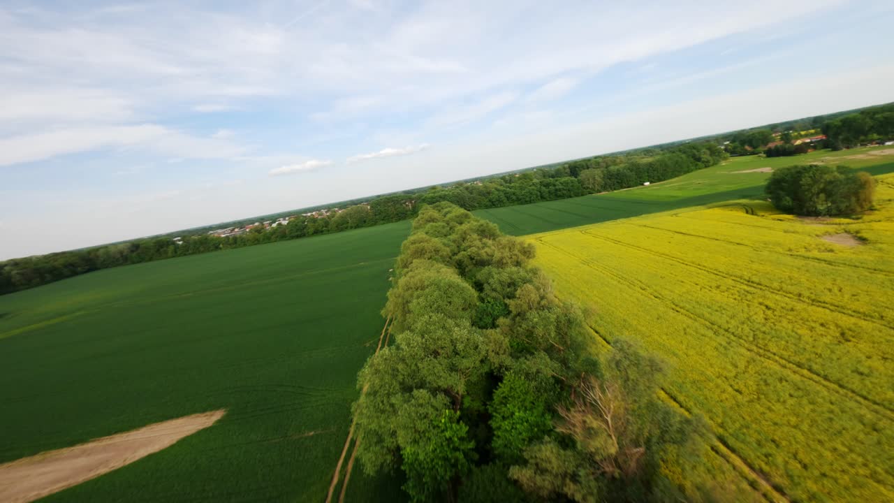 Panoramic sideways aerial movement above the forest section separating the fields, Poland