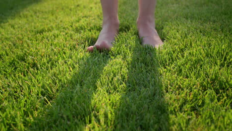 women's feet barefoot in the gentle green grass