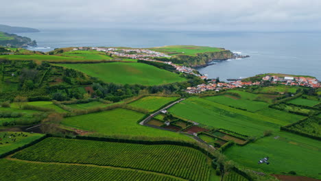 gloomy coast greenery landscape drone view. birds flying woodland hill terrain