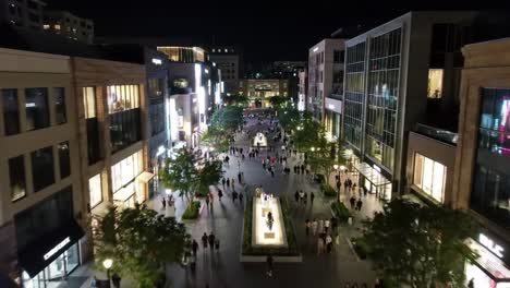 night view of a bustling urban shopping district