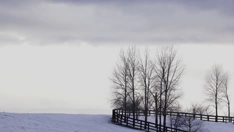 Westlicher-Gebogener-Zaun-Auf-Ranchweide,-Schneebedecktes-Feld,-Bäume-Neben-Zaun,-4k