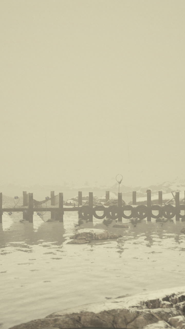 Foggy Dock