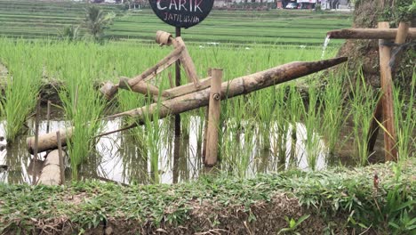 Vista-Aérea-De-Los-Campos-De-Arroz-Del-Patrimonio-Mundial-De-La-Unesco-En-Jatiluwih,-Bali,-Indonesia-En-Un-Día-Nublado