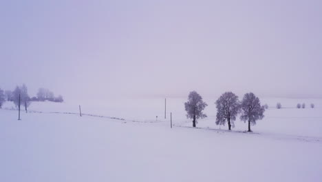 drone flying towards the trees and utility poles standing on snowy landscape in winter