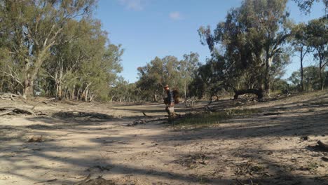 traditional australian swagman walks accross a dry river bed in the outback.