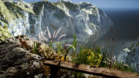 Frisches-Gras-An-Einer-Großen-Felsigen-Klippe-Im-Ozean