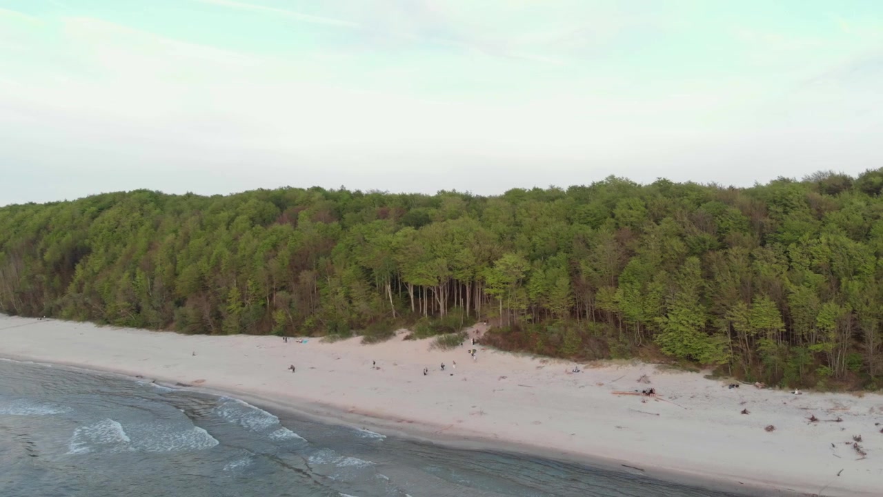 Low aerial drone view looks along the quiet Baltic Sea shoreline at Poddabie, Poland, with gentle surf, pale sand, tiny beachgoers and dense green coastal forest.